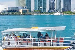Actividad - Water Taxi de Miami
