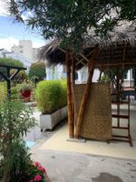 Alojamiento - La Coupole