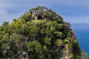 Actividad - Senderismo por el cerro del Mono