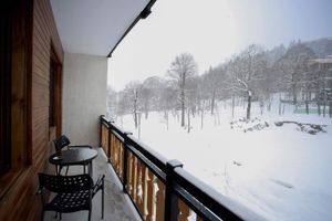 Alquiler Vacacional - The Best Location in Bakuriani, Didveli Ski Area.