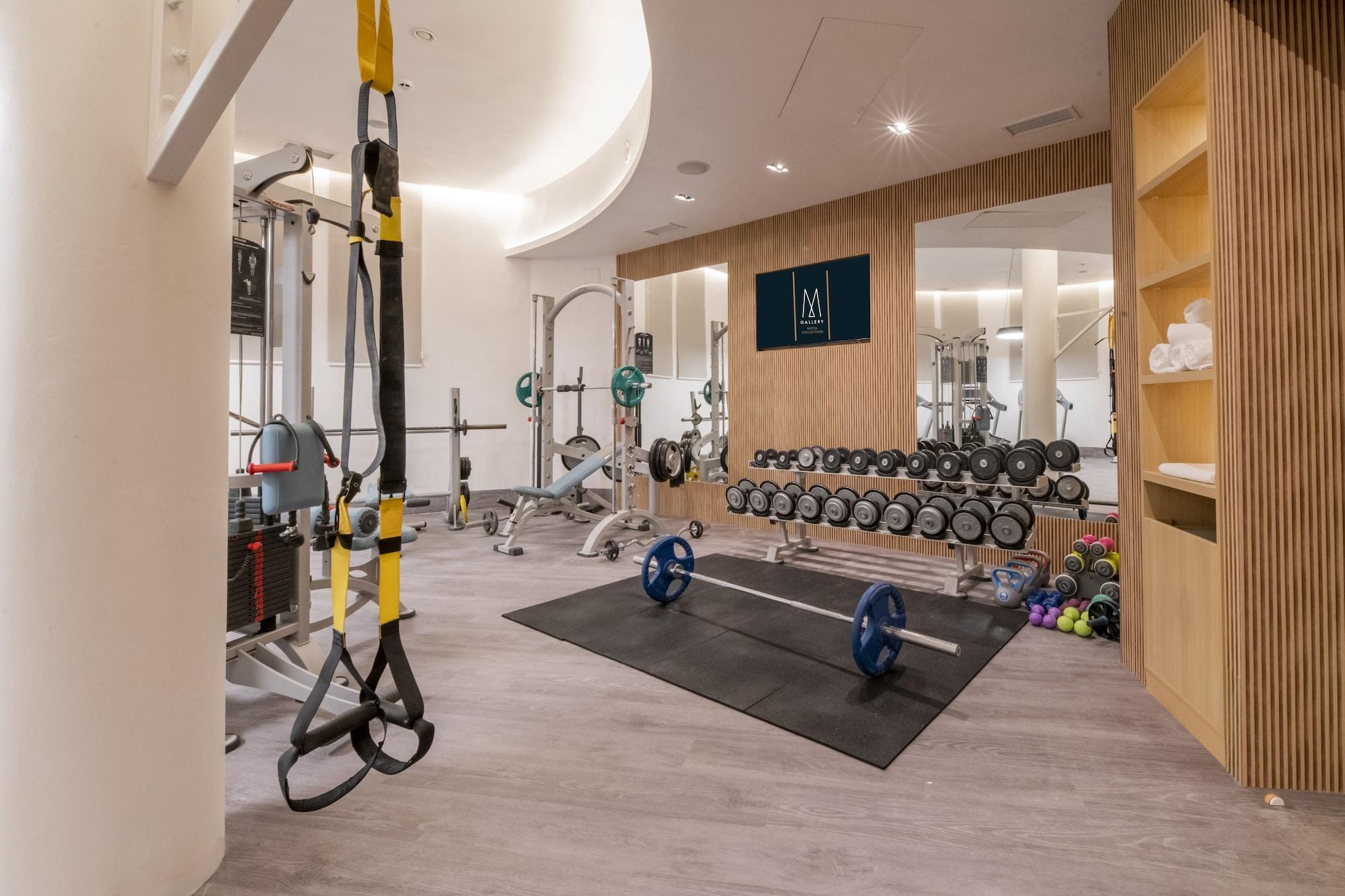 Gimnasio Maison Sofia - MGallery