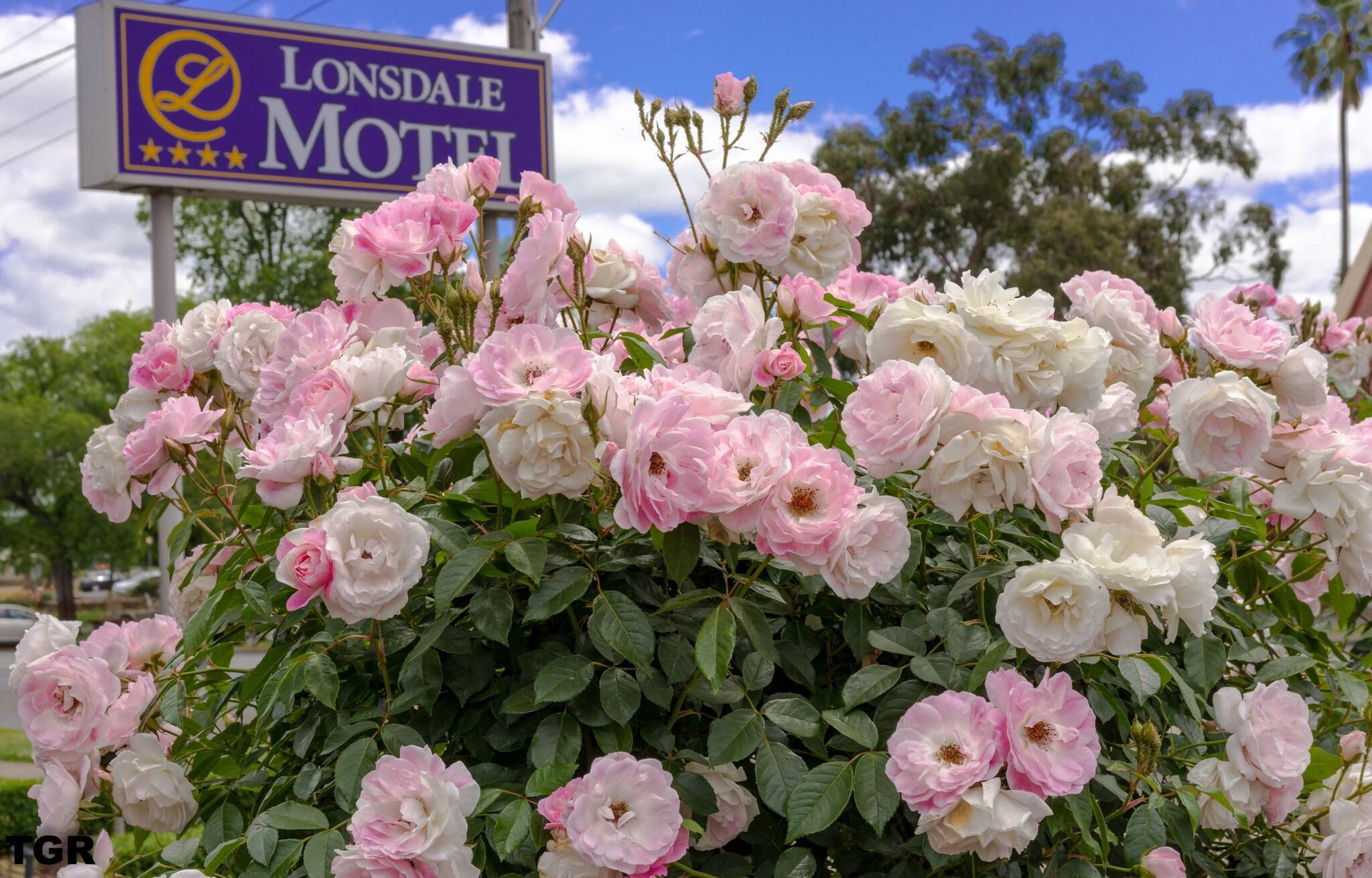 Varios Hamilton Lonsdale Motel