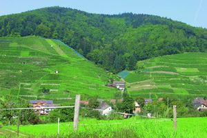 Alojamiento - Landpension Haus Ruth