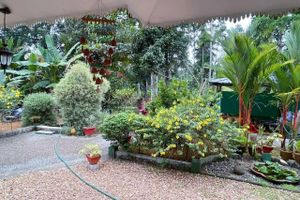 Alojamiento - Kuttickattil Gardens Home Stay