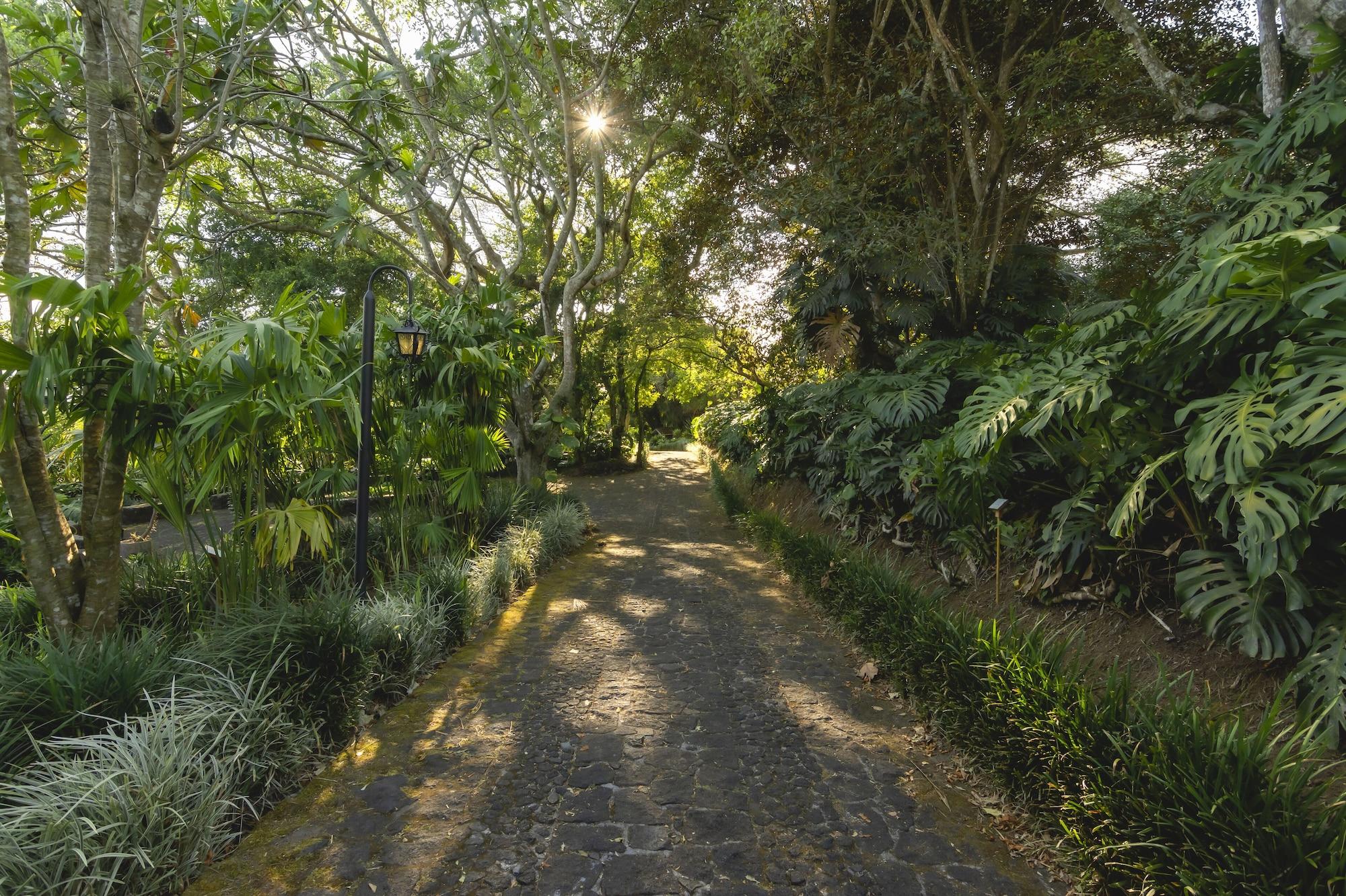 Vista Exterior Finca Rosa Blanca Coffee Farm and Inn