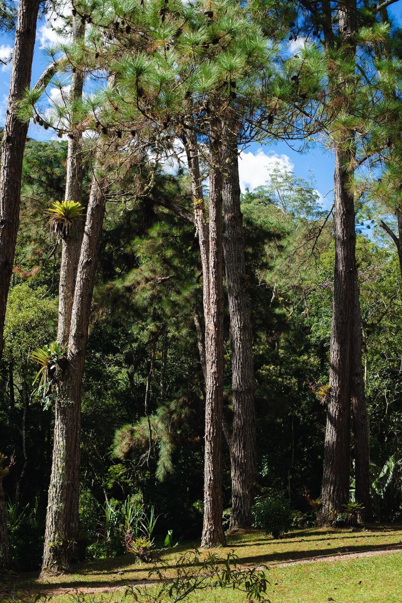 Vista Exterior Amadamata Refúgio Ecológico