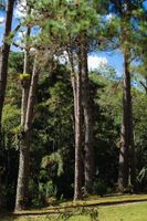 Alojamiento - Amadamata Refúgio Ecológico