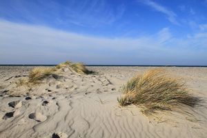 Alojamiento - Hafenhotel Meereszeiten