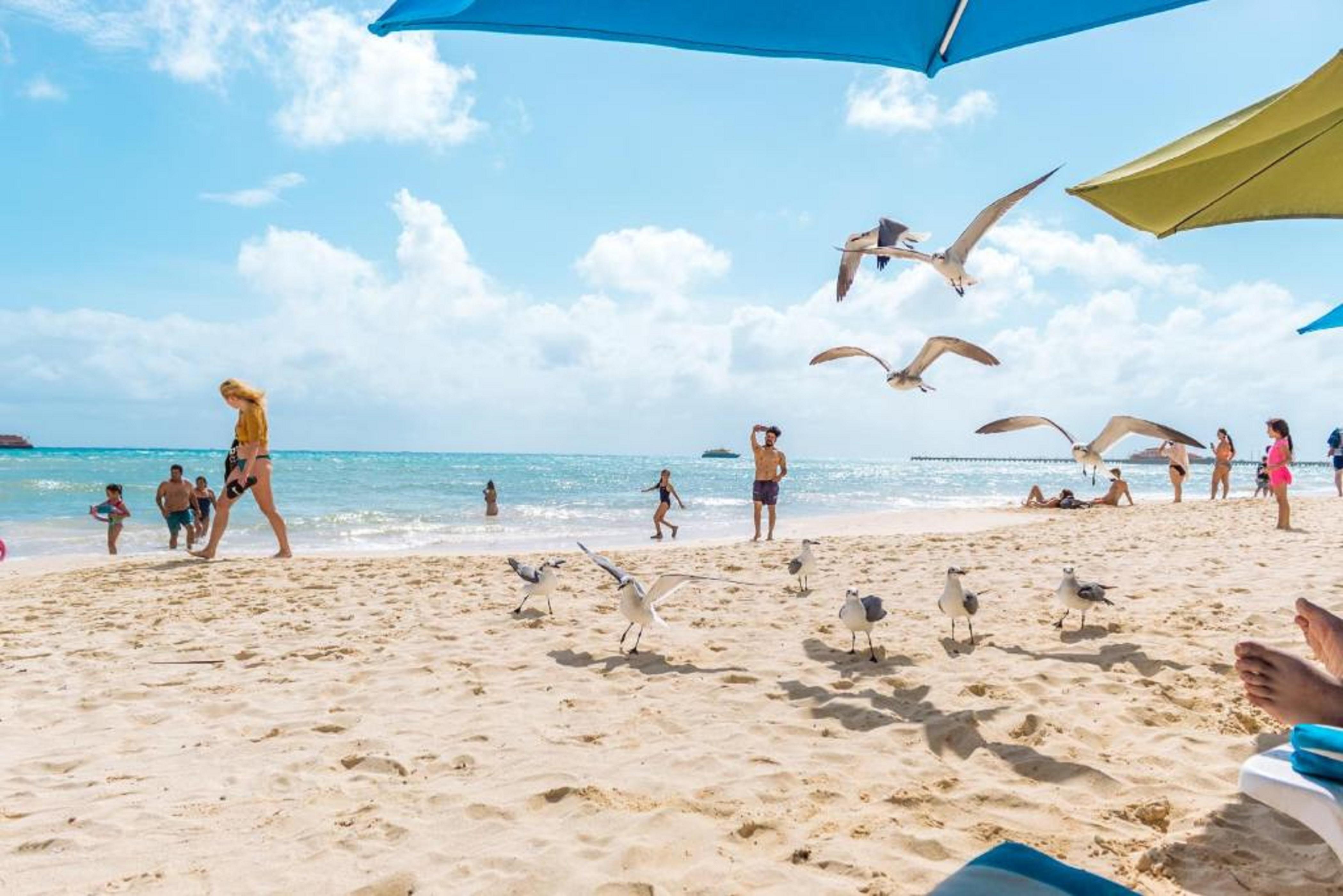 Playa Playa Maya by MIJ