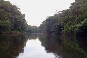 Actividad - Almuerzo en la balsa flotante orillas del Amazonas