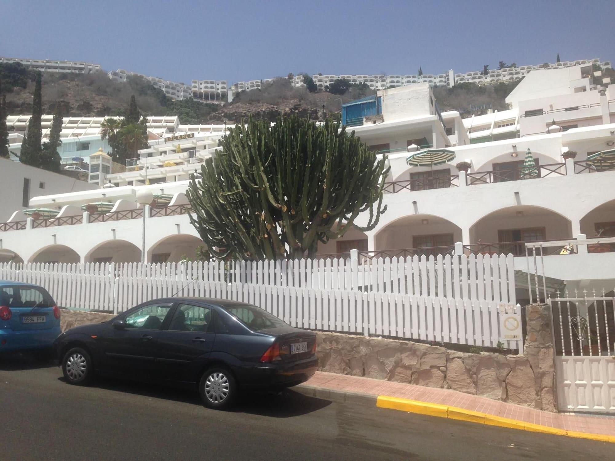 Vista Exterior eó Corona Cedral