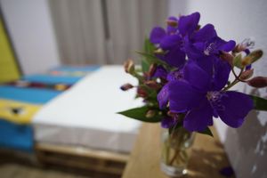 Alquiler Vacacional - Studio con Vistas Unicas al Volcan Arenal a 3mint del Centro de La Fortuna