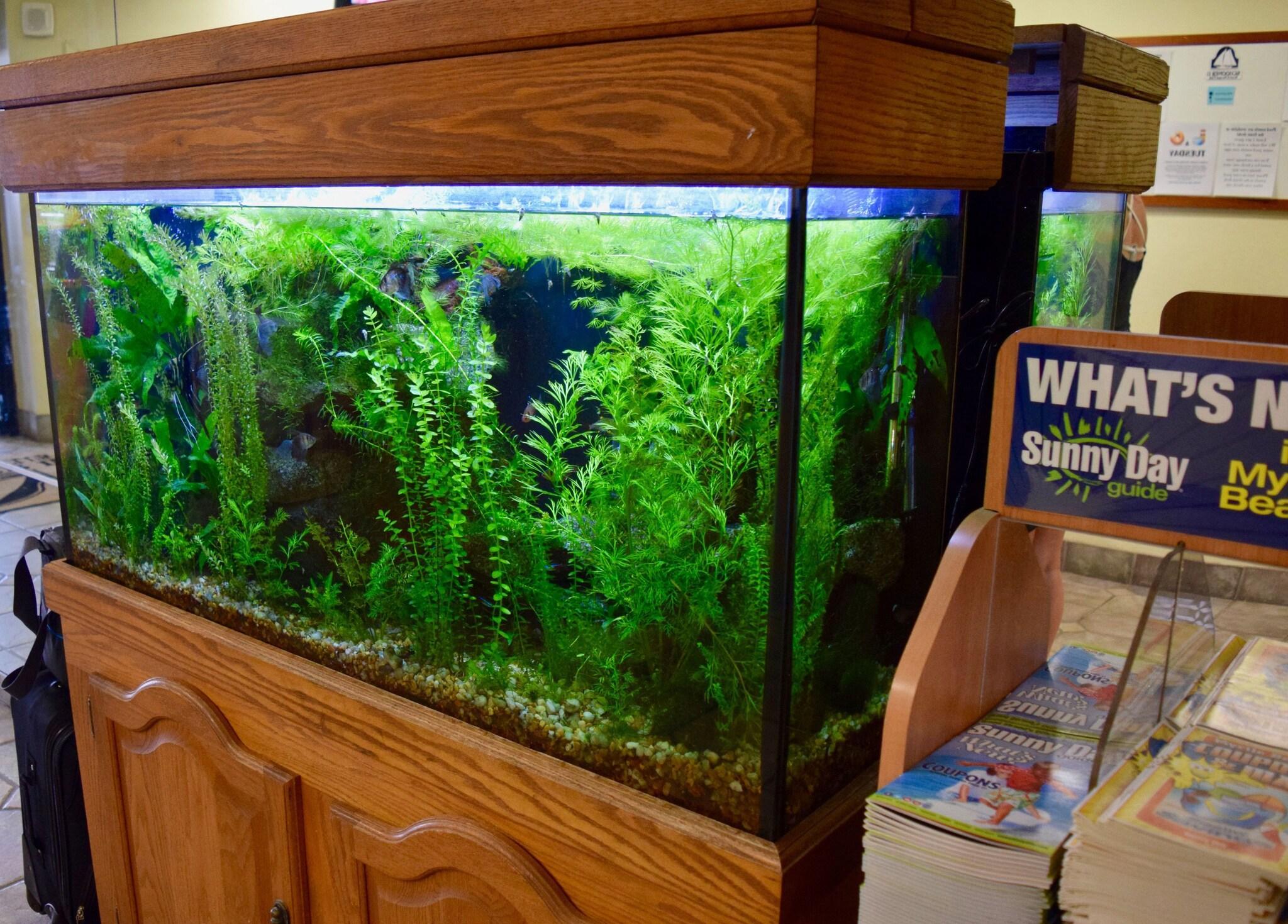 Vista Lobby Schooner II Beach and Racquet Club