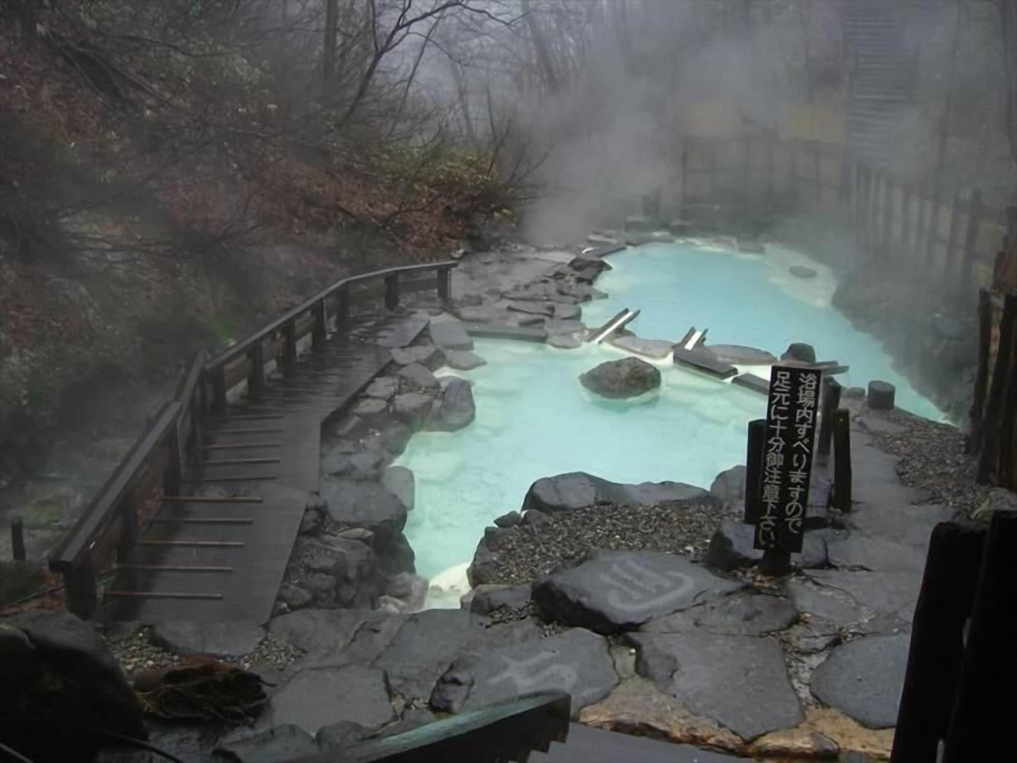 Vista Piscina Lodge Christmas Rose ZAO