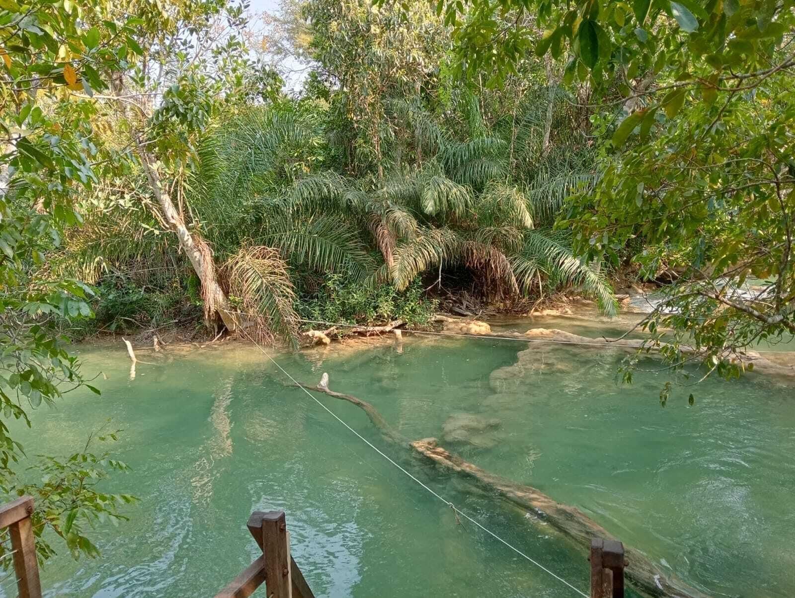 Comodidades del Alojamiento Camping Rio Formoso LTDA