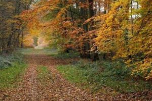 Alojamiento - Hotel'n