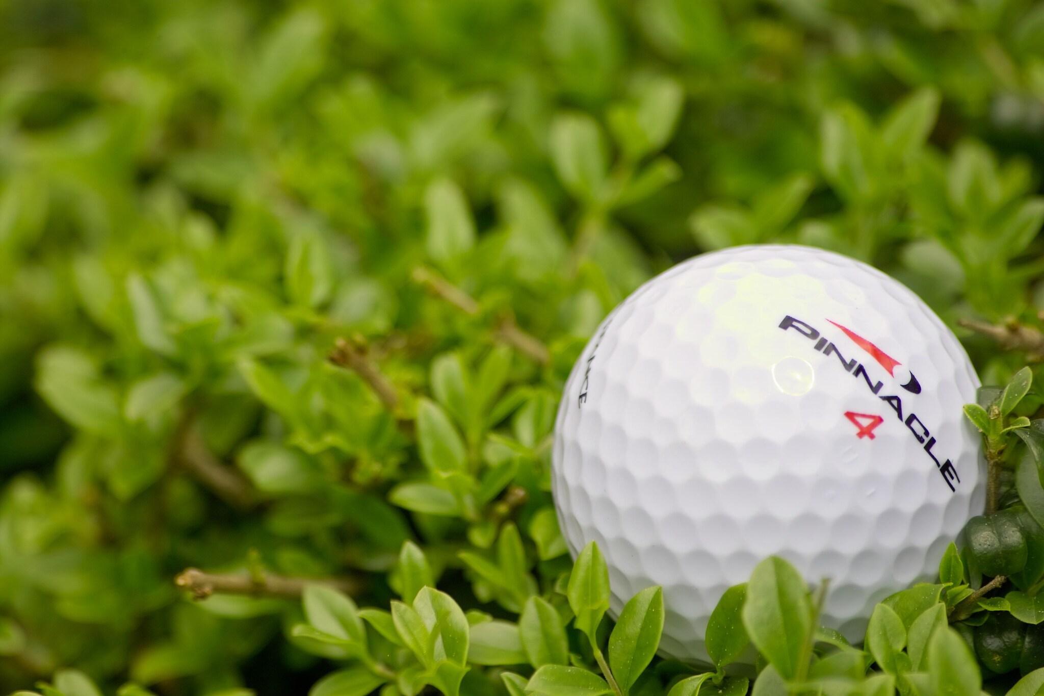 Campo de Golf Hotel Approdo