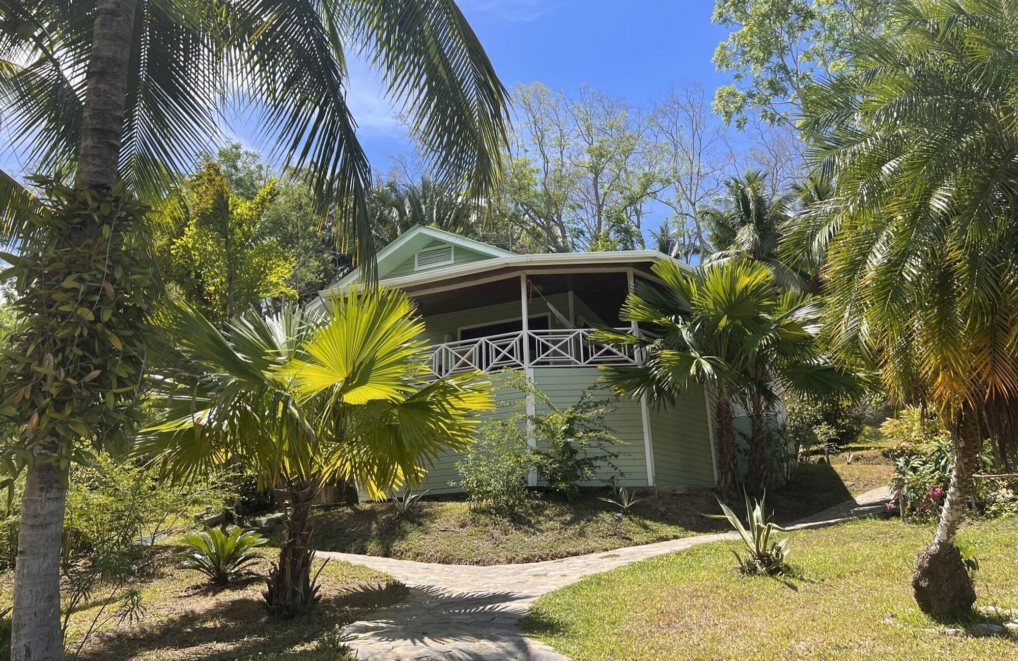 Habitación Los Olingos Lodge - Bird Paradise