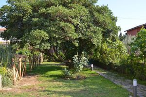 Alquiler Vacacional - The luxury holiday home