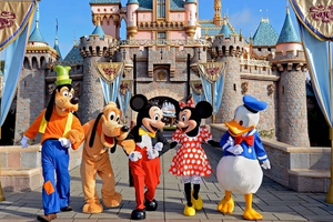Actividad - Disneyland Resort California