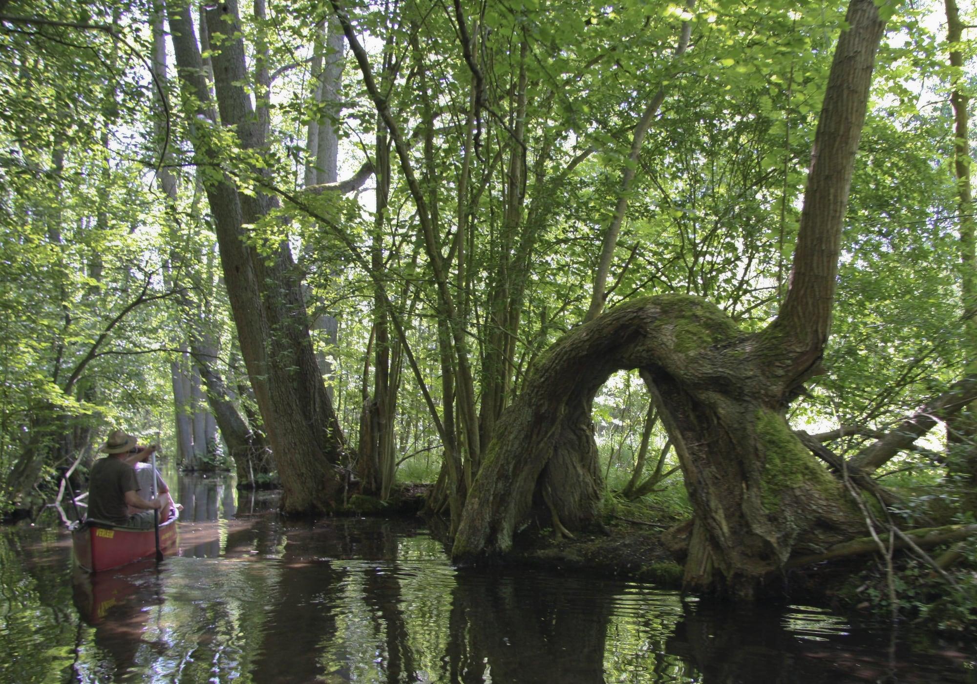 Instalaciones Recreativas Hotel Altes Zollhaus