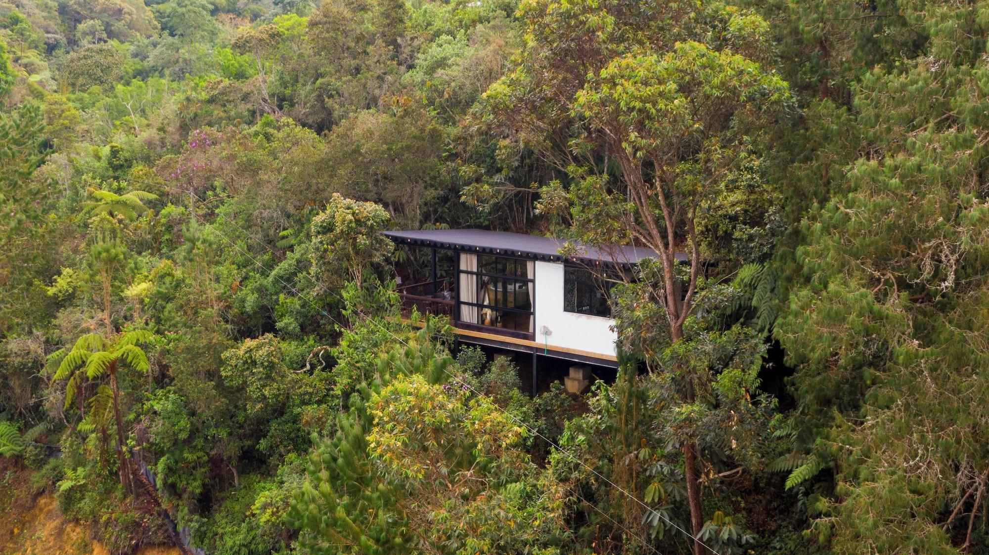 Vista Exterior Ecoluxury glamping