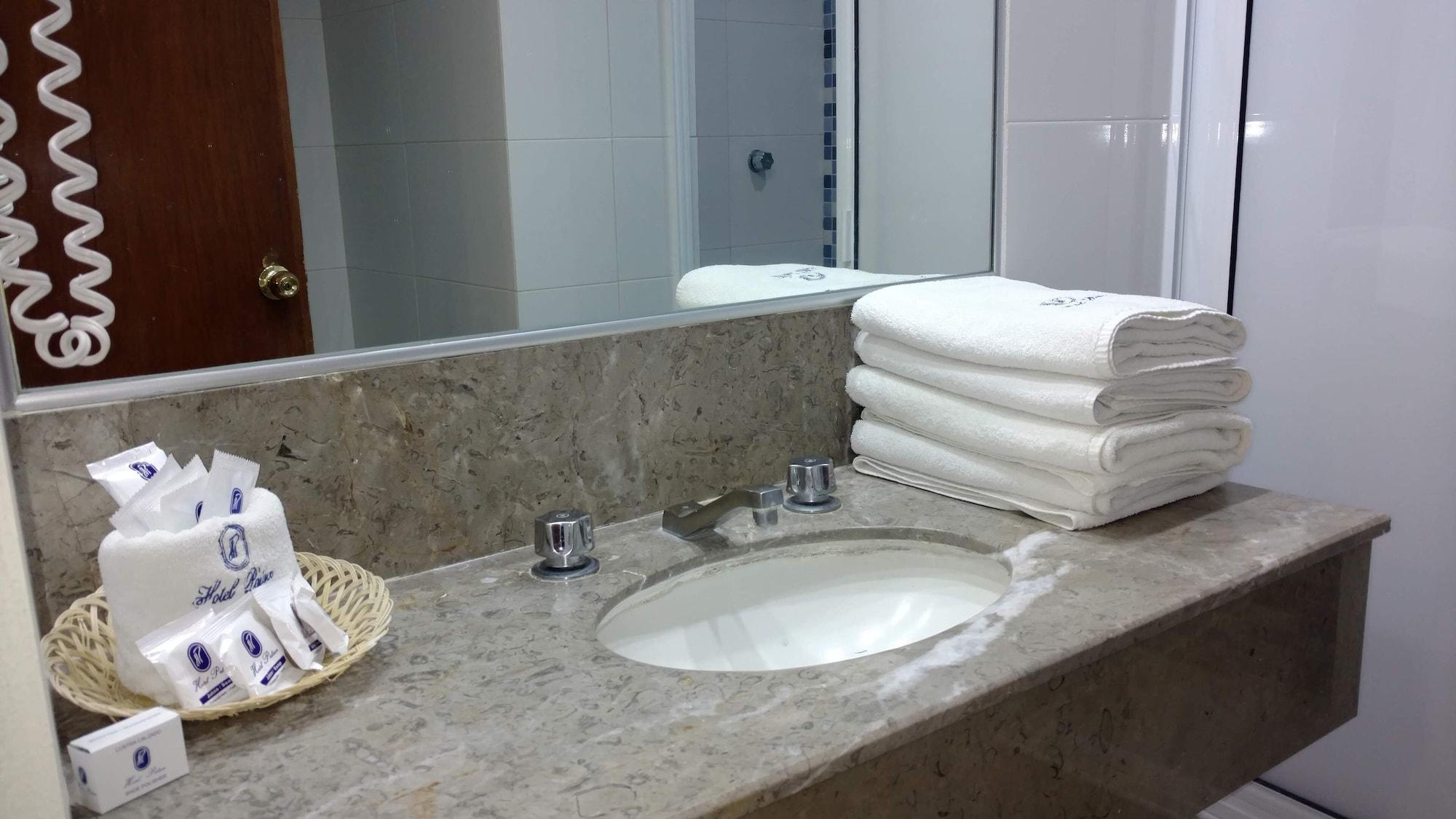 Equipamiento de Habitación Hotel Palace Puebla