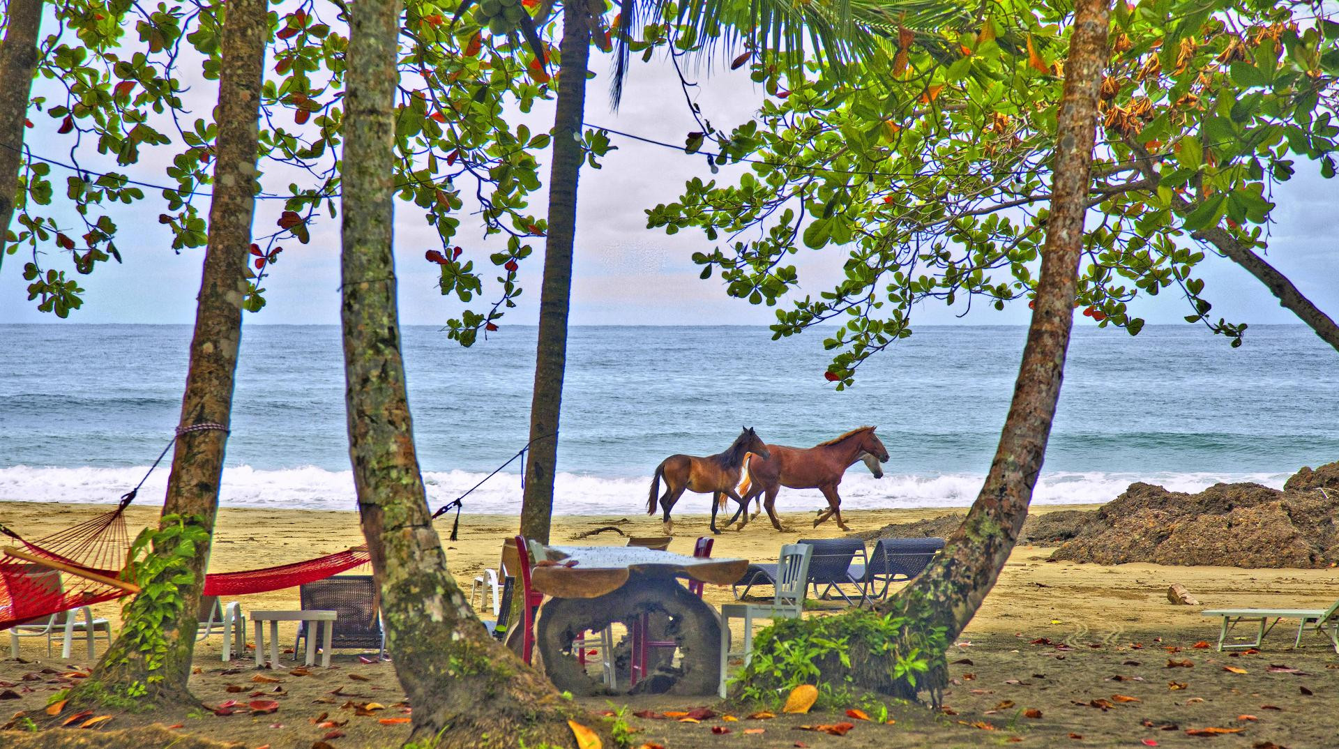 Playa Le Cameleon Puerto Viejo