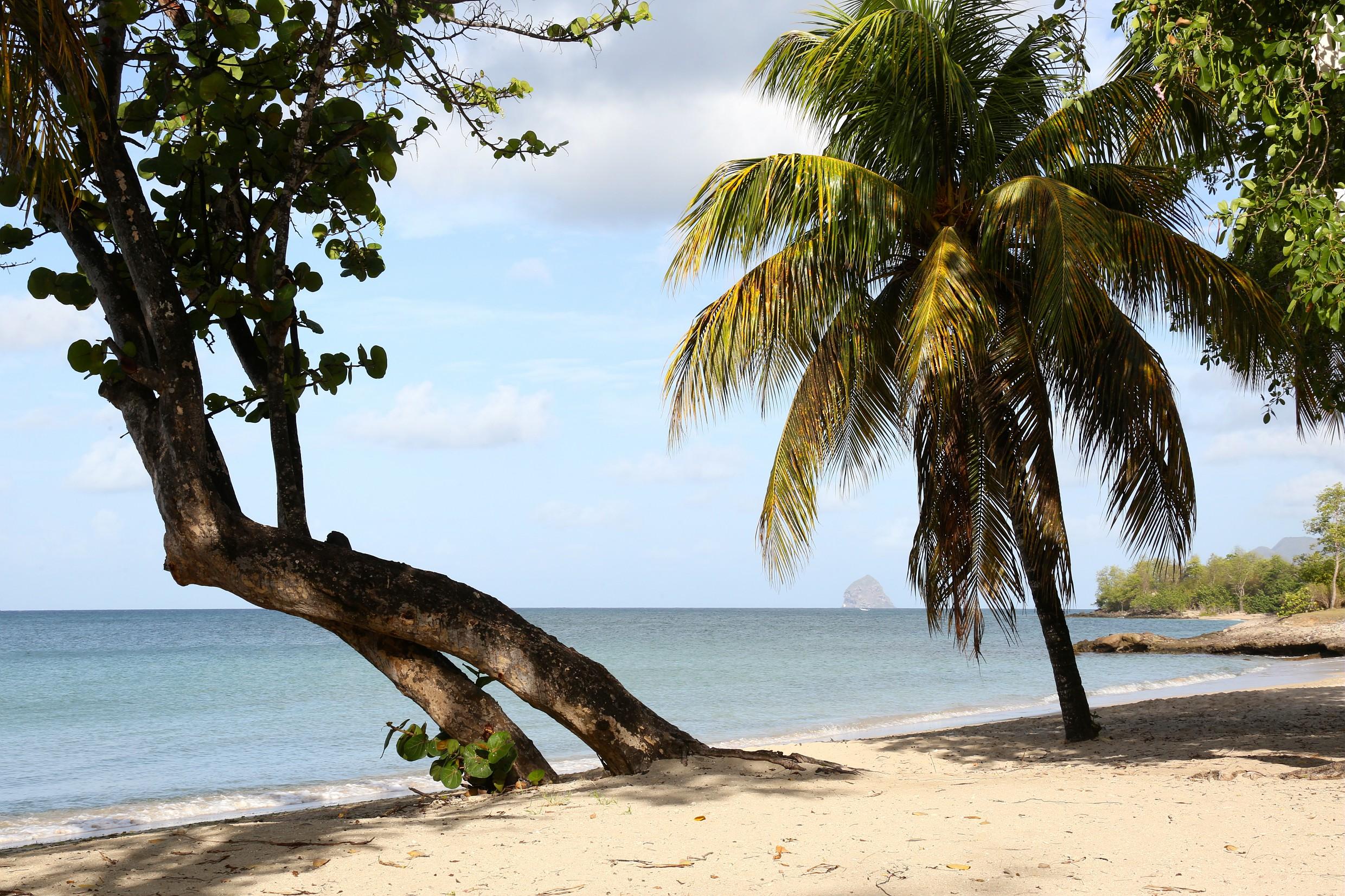 Playa Pierre & Vacances Premium Les Ilets