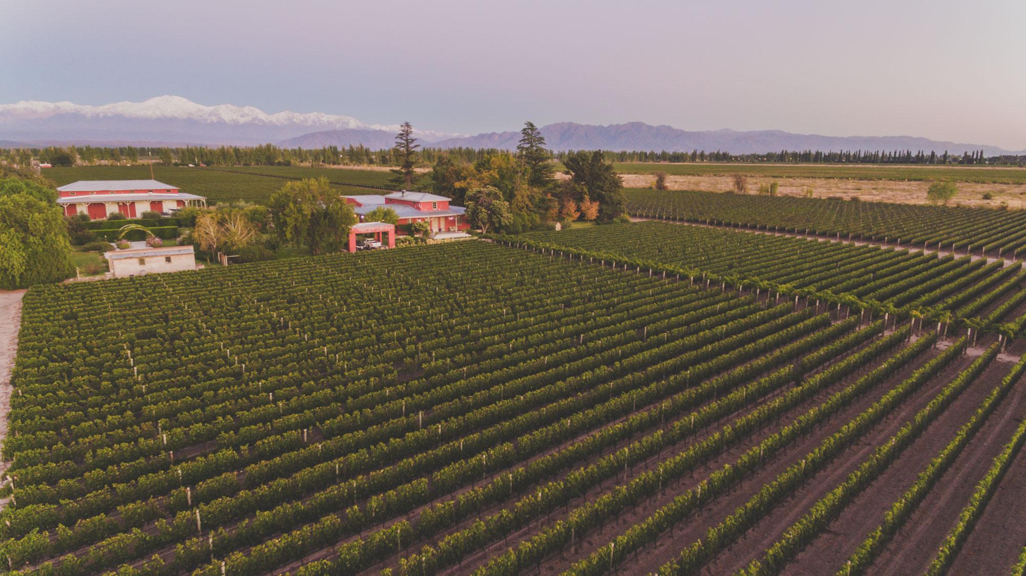 Vista Exterior Enlace Wine House