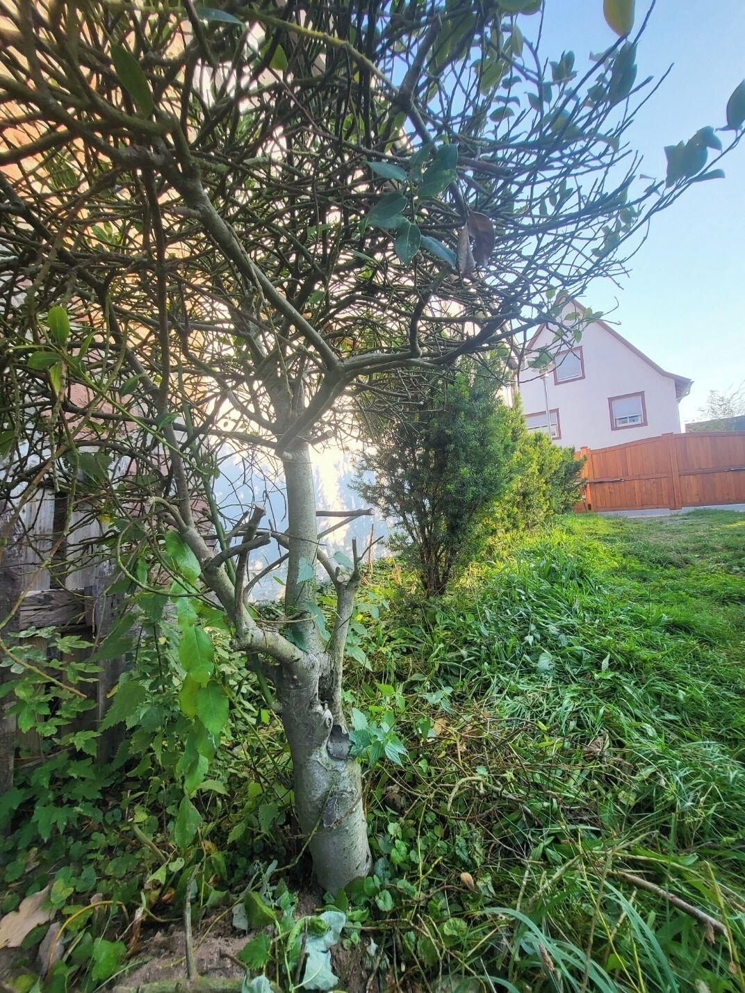 Vista Exterior Apartment Kostera