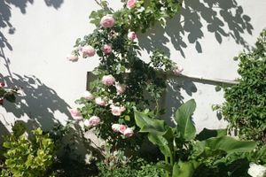 Alojamiento - Le Clos Chez Michel