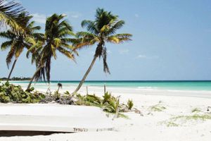 Paquete - Paquetes a Playa del Carmen