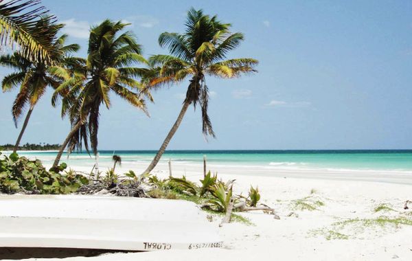 Riu Lupita - All Inclusive