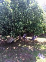 Alquiler Vacacional - House near st Florent