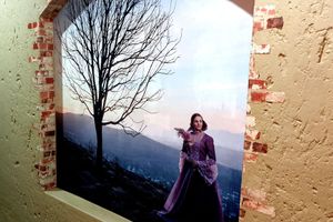 Alojamiento - Villa Castollini