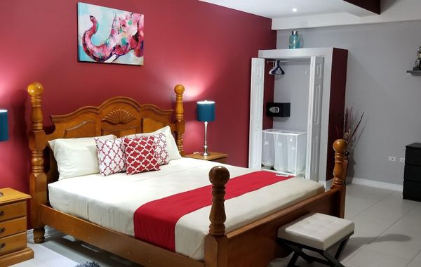 New Kingston Guest Apartment at Donhead