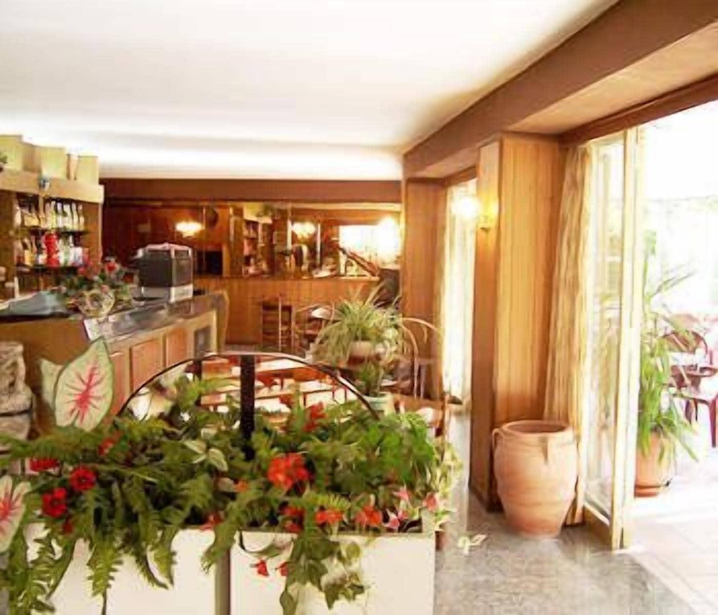 Bar/Salón Hotel Haway