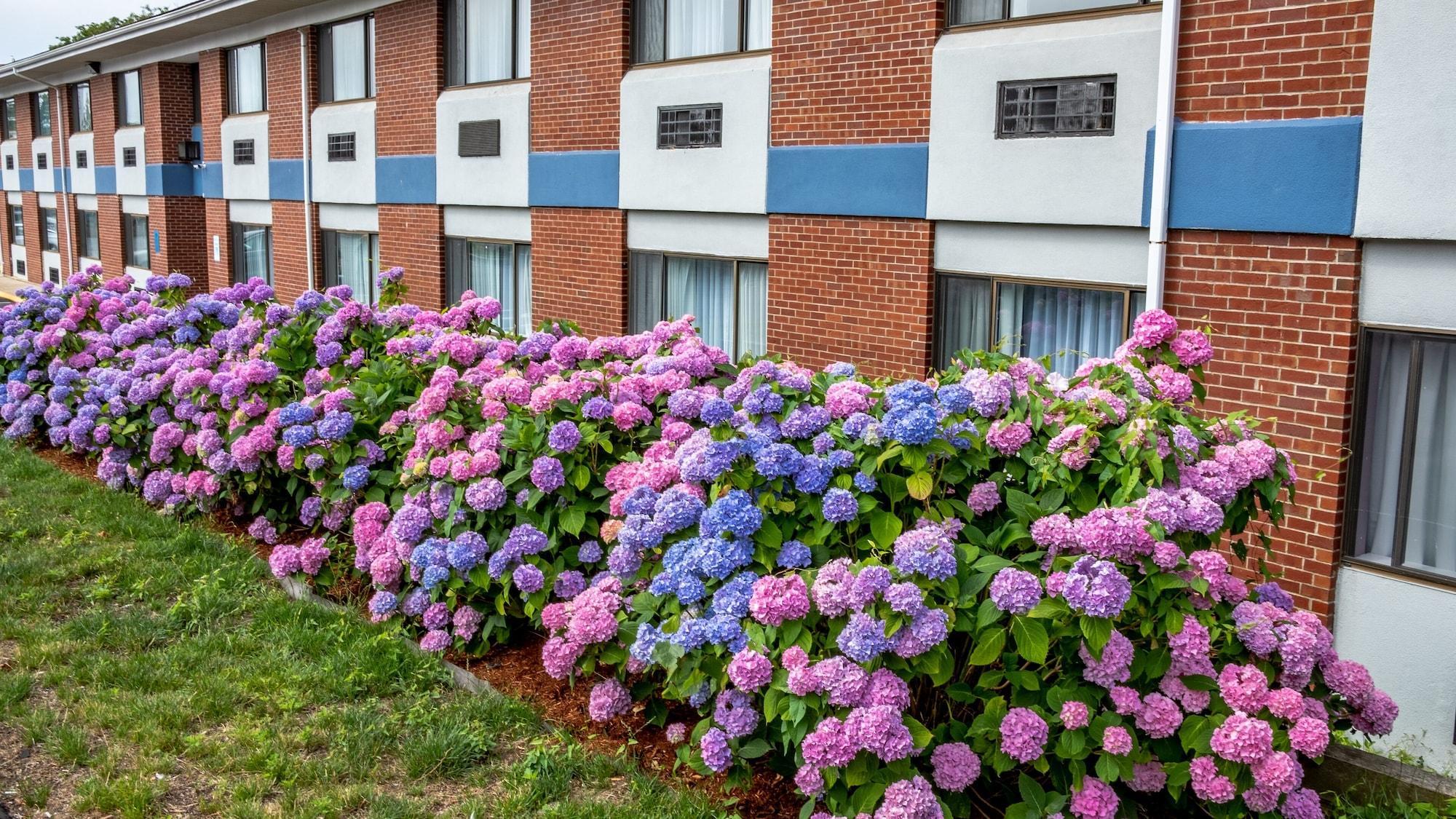 Vista Exterior Hyannis Plaza Hotel