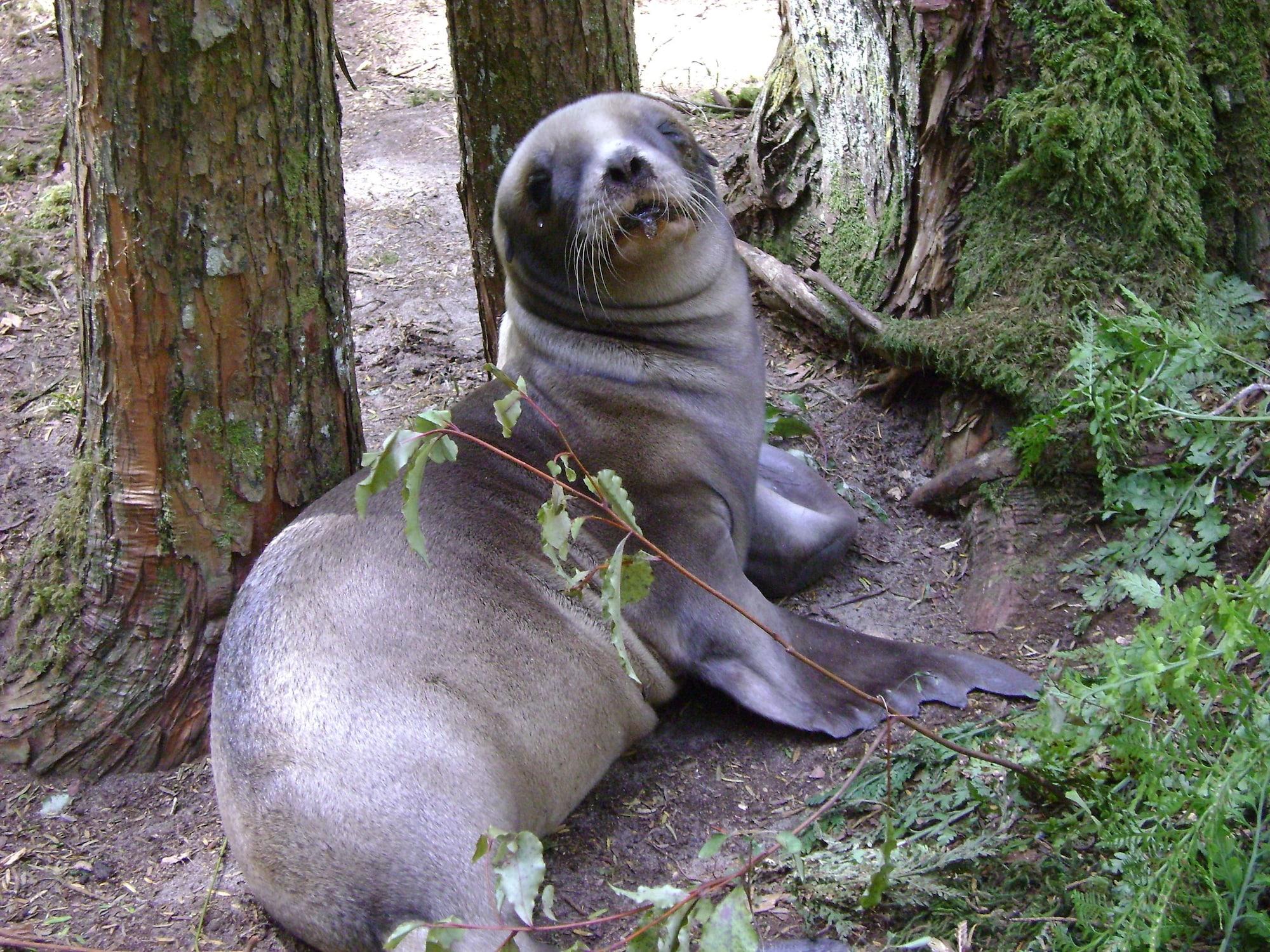 Comodidades del Alojamiento Catlins Newhaven Holiday Park