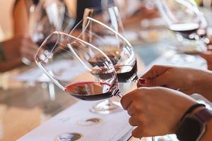 Actividad - Saborea Nuestra Ribera, degustación de vinos y tapas en Bodega en Ribera del Duero con Flexibilidad de fecha