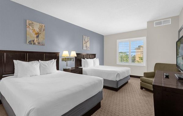 Chic Studio Near Disney & Universal Studios - Hoteles en Southwest Orlando