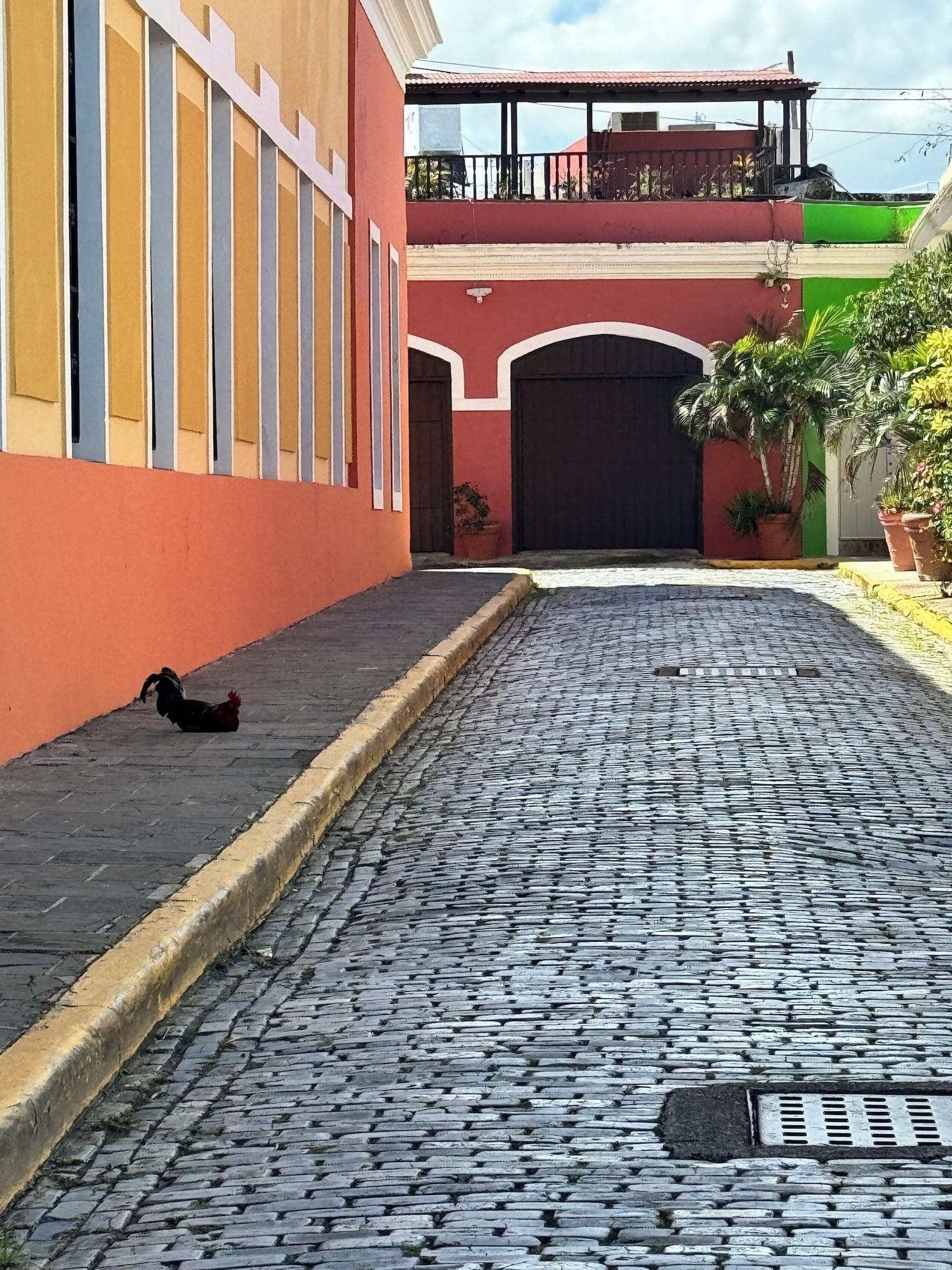 Vista Exterior Trotamundos