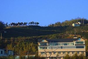 Alojamiento - Tea Cloud Guest House