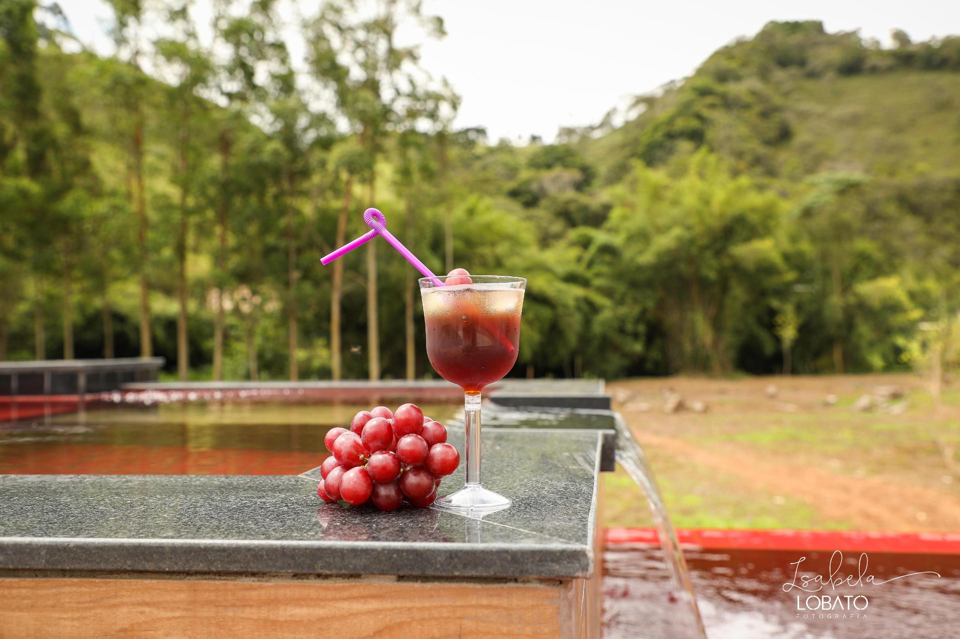 Spa Hotel Chalé de Minas