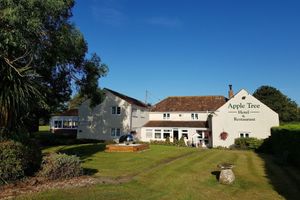 Alojamiento - Apple Tree Hotel