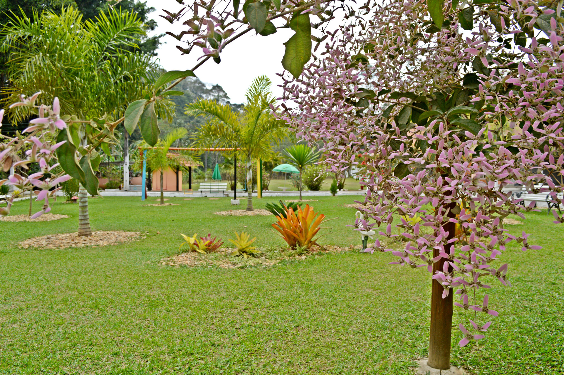 Varios Hotel Vale Verde Penedo