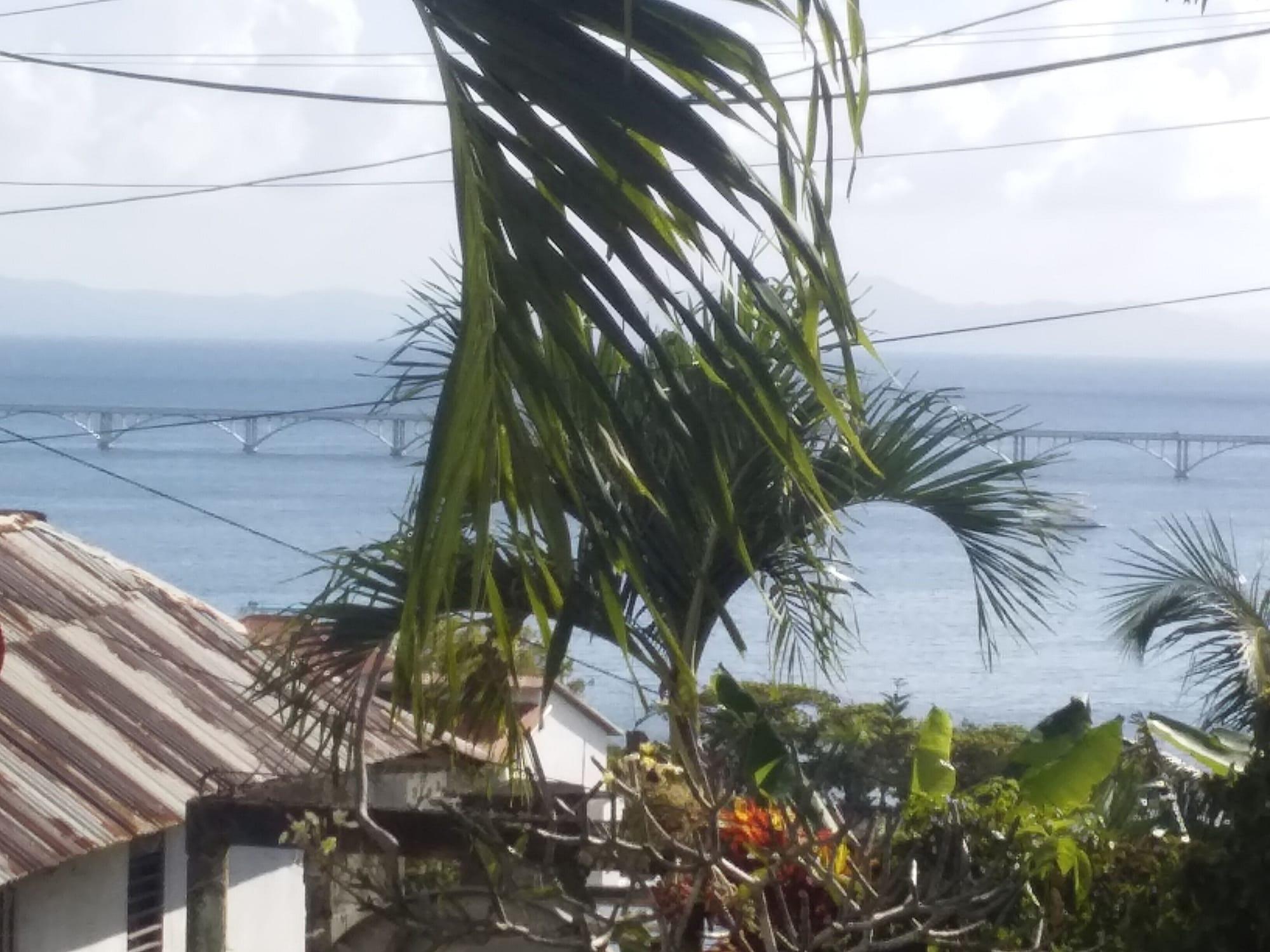 Playa Room-best bed and Breakfast in Samana Br