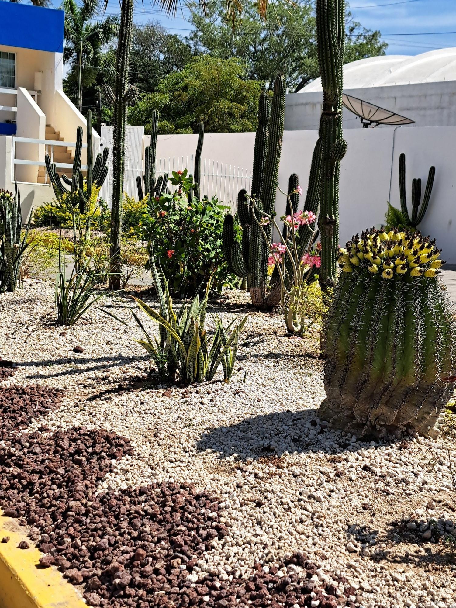 Comodidades del Alojamiento HOTEL CONFORT PLAZA Y SUITE