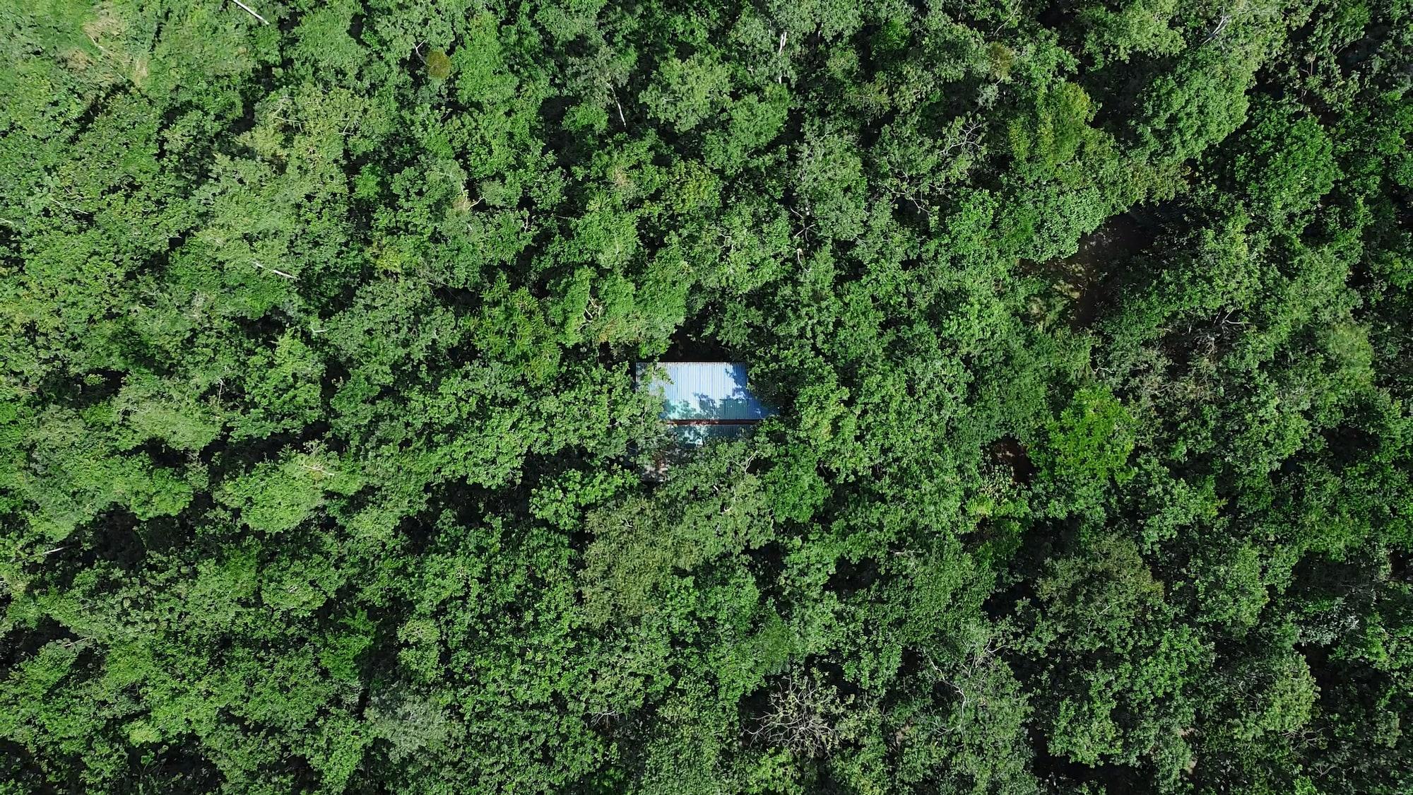 Comodidades del Alojamiento Tree Houses Hotel Costa Rica